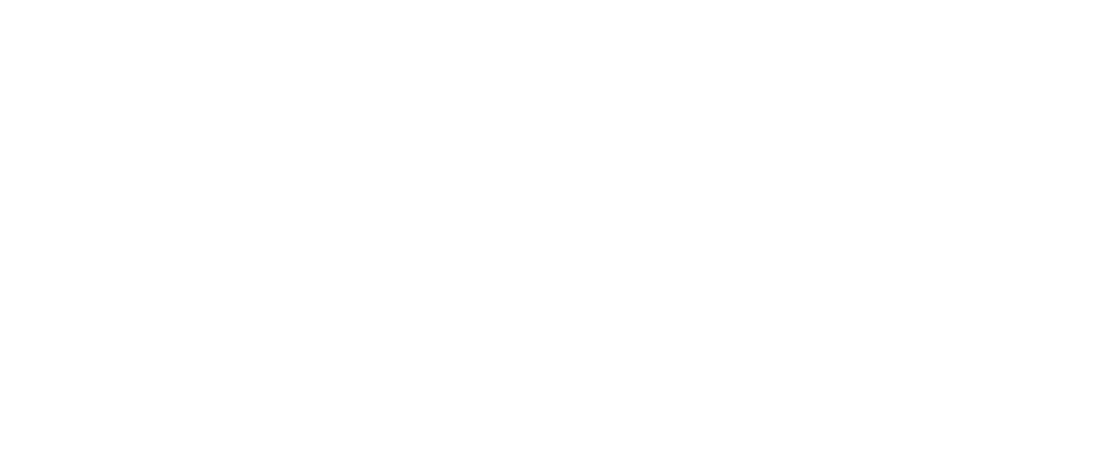 logo viva_white